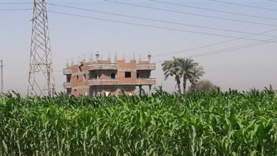 حملة مكبرة لضبط القائمين بتقسيم وبيع الأراضي الزراعية بالمنوفية