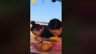 فيديو| لقطات مضحكة لتحدي أكل المانجو.. يشعل فيسبوك