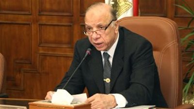 فيديو.. محافظ  القاهرة يتفقد عددا من المجمعات الاستهلاكية والمجازر بالبساتين 
