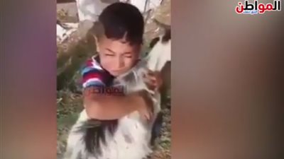 فيديو.. طفل يحتضن الأضحية ويحميها من الذبح 