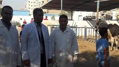 الطب البيطري بالبحر الأحمر يتفقد مجازر الغردقة في أول أيام عيد الأضحى 2018