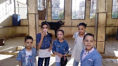 صور.. الاطفال بأحضان المجازر برفقة الاباء لالتقاط السيلفى مع الأضاحي بـ سوهاج