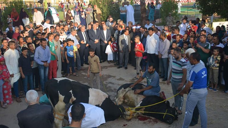 محافظ الوادي الجديد-عيد