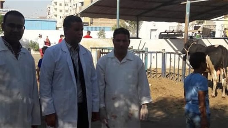مجازر البحر الأحمر