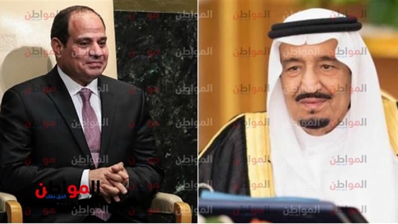 الرئيس السيسي والملك