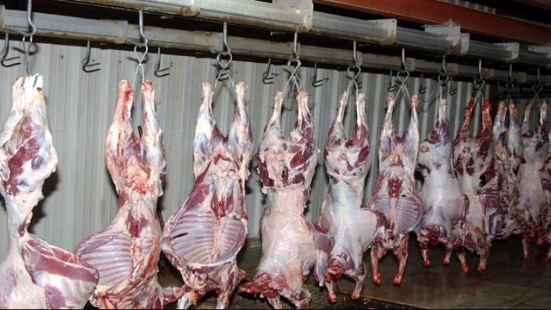مديرية الطب البيطري