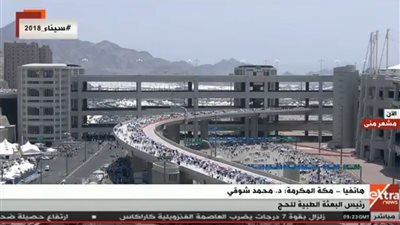 رئيس البعثة الحج الطبية لـ