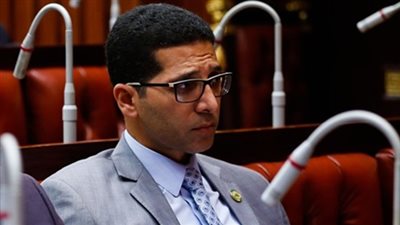 محامي يقاضي هيثم الحريري بتهمة الإسائة للدولة ويطالب برفع الحصانة عنه