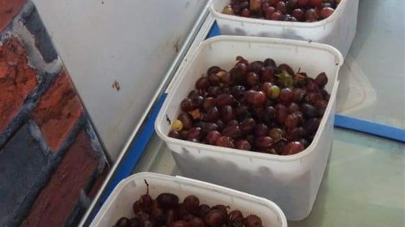 حملات تفتيشية-عيد