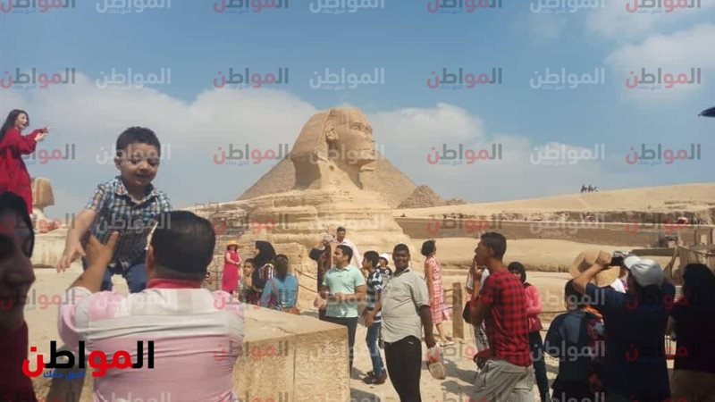 الأهرامات 