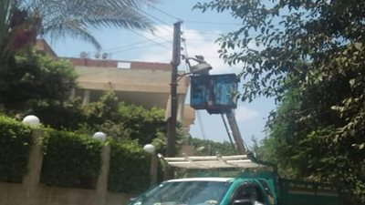 صور.. حملة لصيانة أعمدة الإنارة بـ شبين القناطر