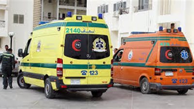 إصابة ربة منزل وأولادها الأربعة بتسمم غذائي في قنا