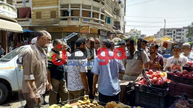 رئيس مدينة دسوق-حملة