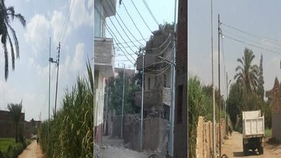 زرع ٤٨ عامود إنارة بـ