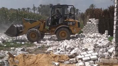 صور.. رفع 12 طن مخلفات وإزالة 3 حالات تعدِ بـ شبين القناطر 