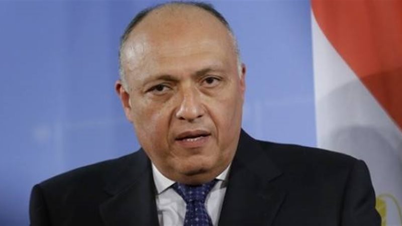 وزير الخارجية سامح