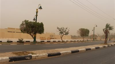 رياح قوية محملة بـ الأتربة تضرب الوادي الجديد