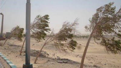 رياح متوسطة وخفيفة محملة بالأتربة تضرب الوادي الجديد