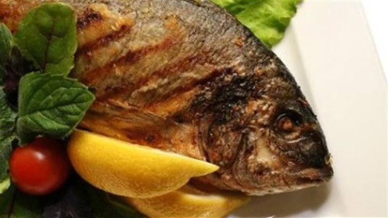 الأسماك