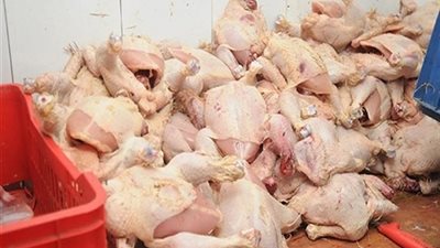 فيديو.. 71 قضية تموينية ضبطتها شرطة التموين خلال 24 ساعة