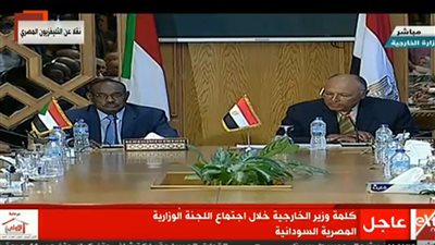وزير الخارجية : وثيقة الشراكة المصرية السودانية تعكس مدى التطلع لـ التعاون بين البلدين 