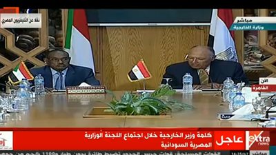 وزير الخارجية: نتطلع  لمزيد من العمل المشترك مع السودان