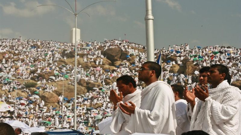 حجاج 