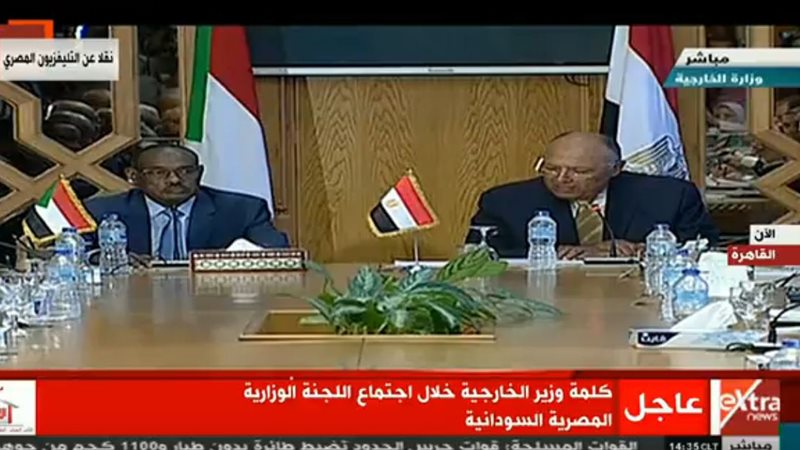 سامح  شكري وزير الخارجية