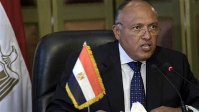 شكري: مصر تدعم كل الجهود من أجل حل سياسي ملائم في سوريا