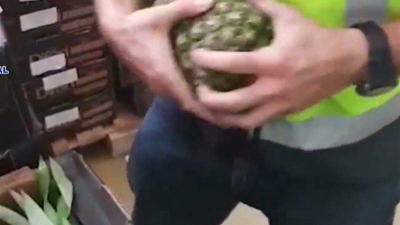 المواطن