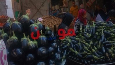 تعرف على أسعار الخضراوات والفاكهة في أسواق البحيرة