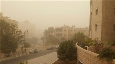 لتحصين الجسم من الفيروسات والبكتريا.. 