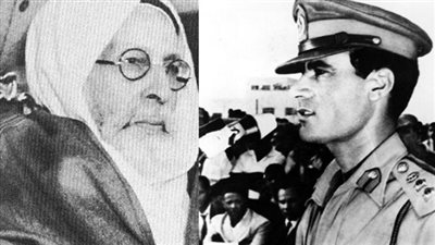 فيديوجراف| ثورة 