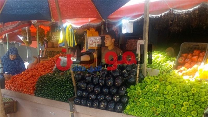 أسعار الخضار والفاكهة-الدقهلية