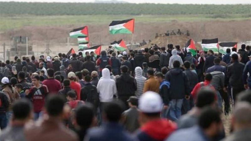 الفلسطينيين خلال