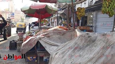 أسعار الخضار والفاكهة بـ كفر الشيخ اليوم الأحد 2/ 9/ 2018.. والمانجو بـ 50 جنيه