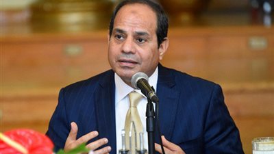 الرئيس السيسي: ندعم مبادرة 