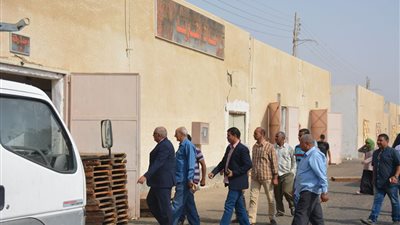 صور.. إنهاء التعاقدات الخاصة بتوريد التمور والإعداد لتخزينه بالوادي الجديد