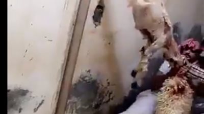 لن تصدق .. تصرف غريب من شخصين مع خروف مذبوح