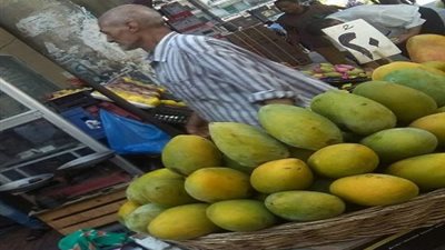صور.. انخفاض أسعار الفاكهة بعد حملة 