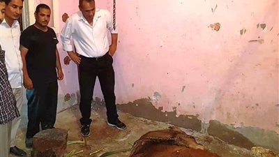 محافظ سوهاج يحيل واقعة ضبط مجزر غير مرخص للنيابة العامة للتحقيق