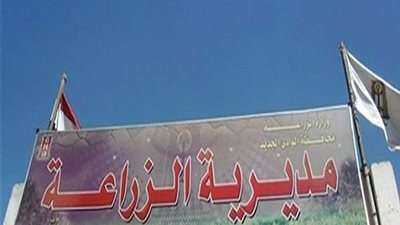 602 وحدة سكنية مصابة النمل الأبيض بـ6 مناطق وعلاج 60 منزلًا بالوادي الجديد