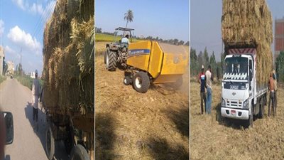 صور.. الإدارة المركزية بـ الغربية: خلق فرص عمل ودعم بالمعدات لمواجهة نوبات تلوث الهواء