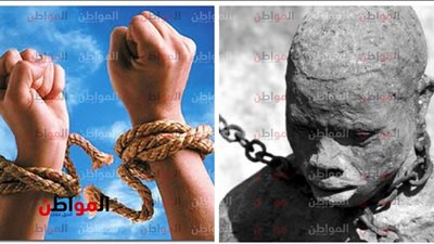 مصر حاربت 