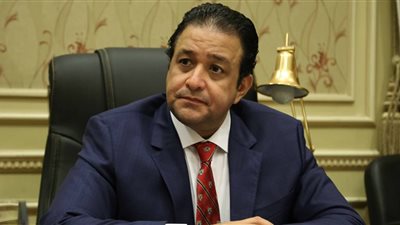 النائب علاء عابد: قرار فض اعتصام رابعة تاريخى 