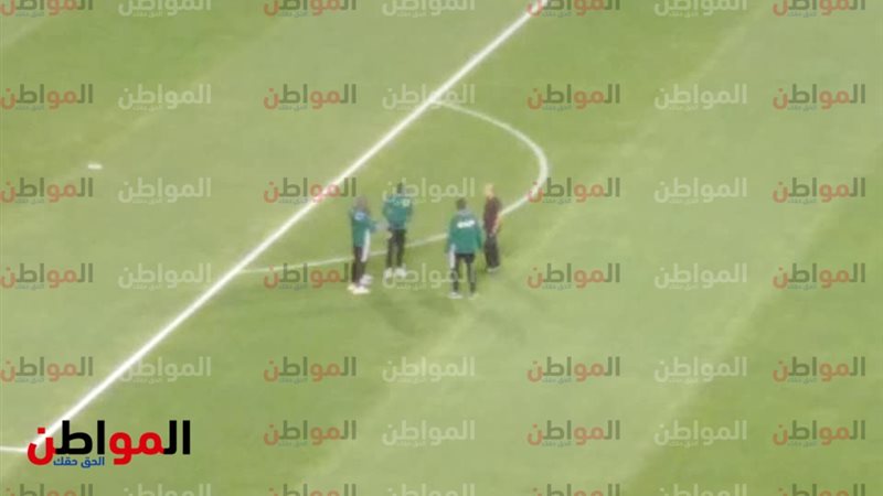 عامر حسين - حكام