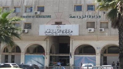 الزراعة: دعم الوادي الجديد بـ200 لتر مبيد لحشرة النمل الأبيض