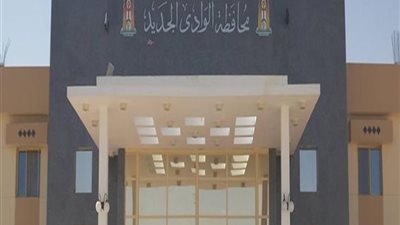 تنفيذ 75 % من مشروع الإسكان في الوادي الجديد