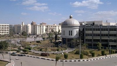 القضايا السكانية في مصر..  معسكر بجامعة الفيوم غدًا