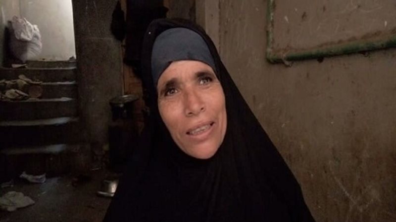 المواطن